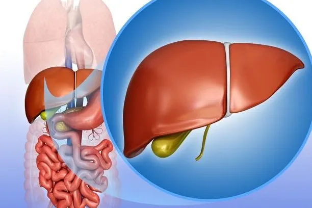 kidney conditions.webp